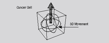 A cancer cell and the internal movement