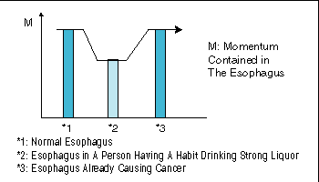 esophageal momentum