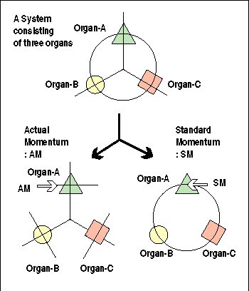 Actual Momentum and Standard Momentum
