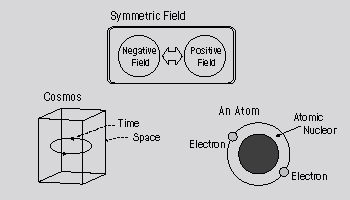 Symmetric Fields In Naure