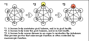 Micro and Macroscopic Mechanism