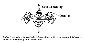 the balance among organs and the staiblity