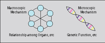 inevitability of tumor