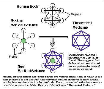 relationship among organs